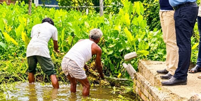 কলির নিখোঁজ দুই পায়ের সন্ধানে আবারও ঘটনাস্থলে পুলিশ